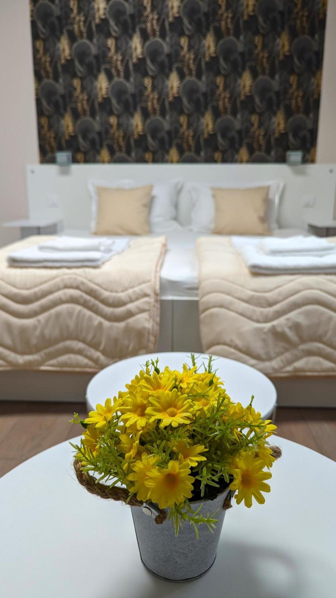 Apartmani Tomic Kladovo Dış mekan fotoğraf